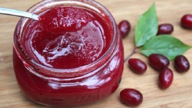 رب زغال اخته